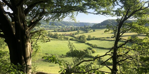 The Uley Valley